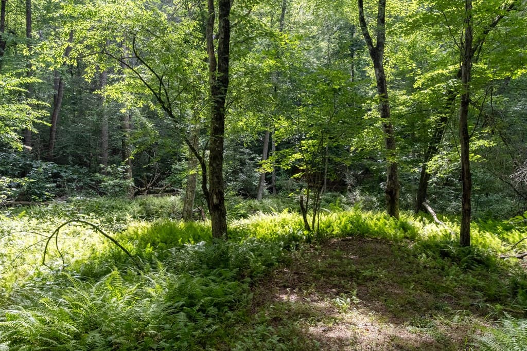 215 Dunn Mill Creek Road, Blue Ridge GA 30513 - Photo