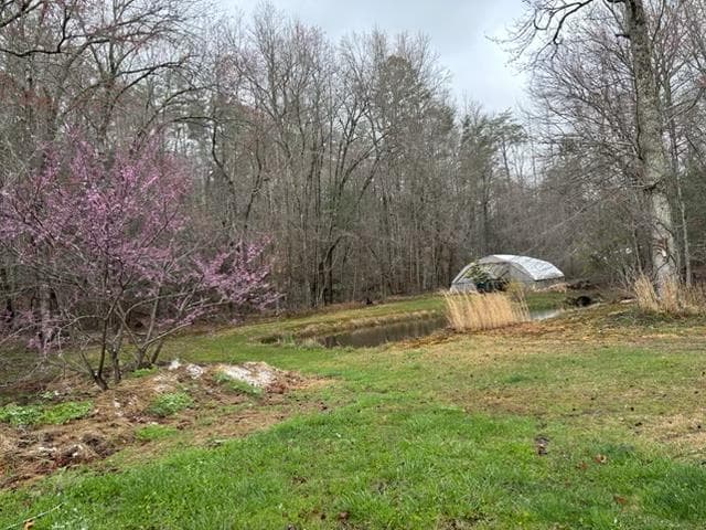 215 Dunn Mill Creek Road, Blue Ridge GA 30513 - Photo