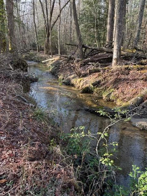 215 Dunn Mill Creek Road, Blue Ridge GA 30513 - Photo
