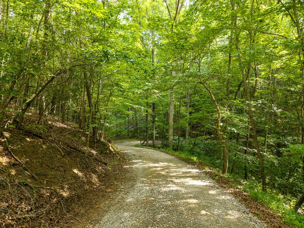 673 Harold Pritchett Road, Ellijay GA 30540 - Photo