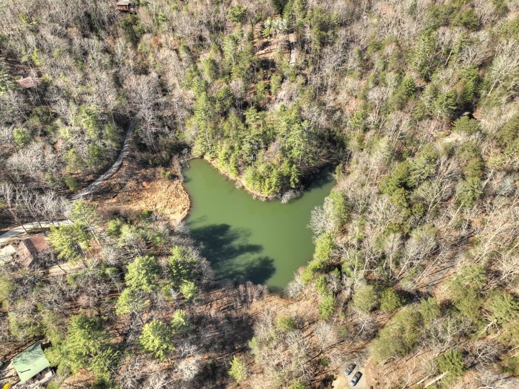 1480 Hidden Lake Drive, Ellijay GA 30540 - Photo