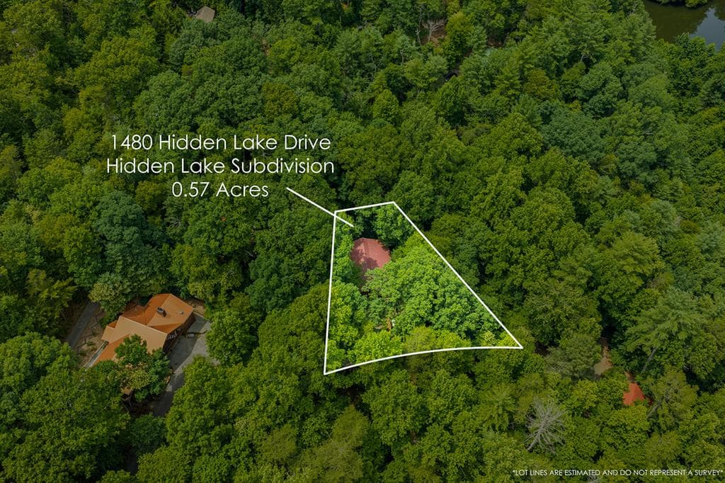 1480 Hidden Lake Drive, Ellijay GA 30540 - Photo