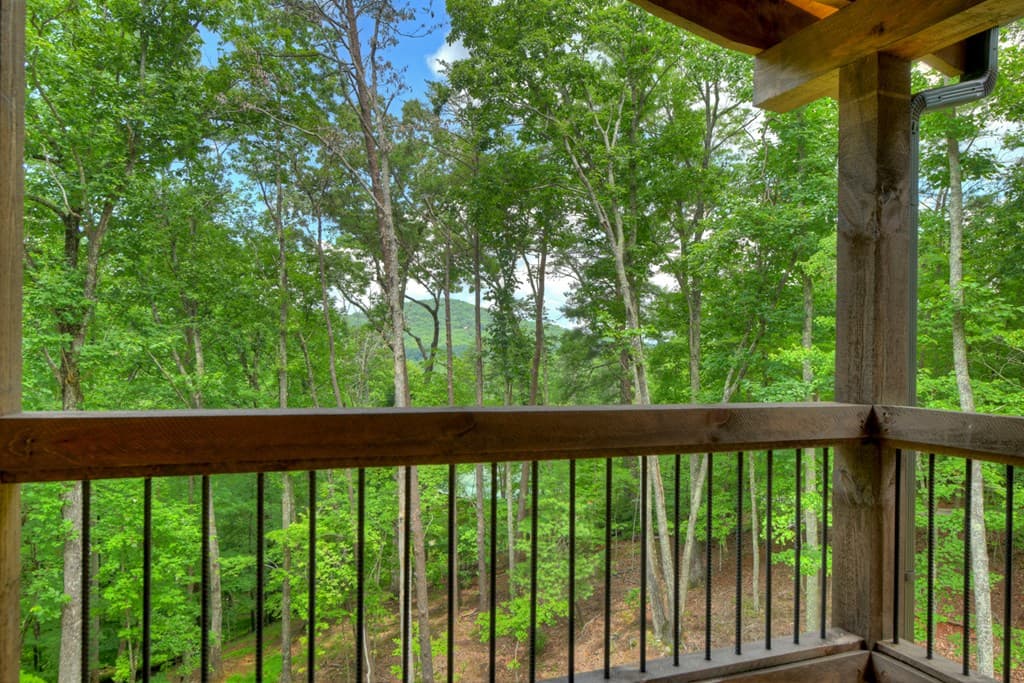 120 Green Ridge Road, Blue Ridge GA 30513 - Photo