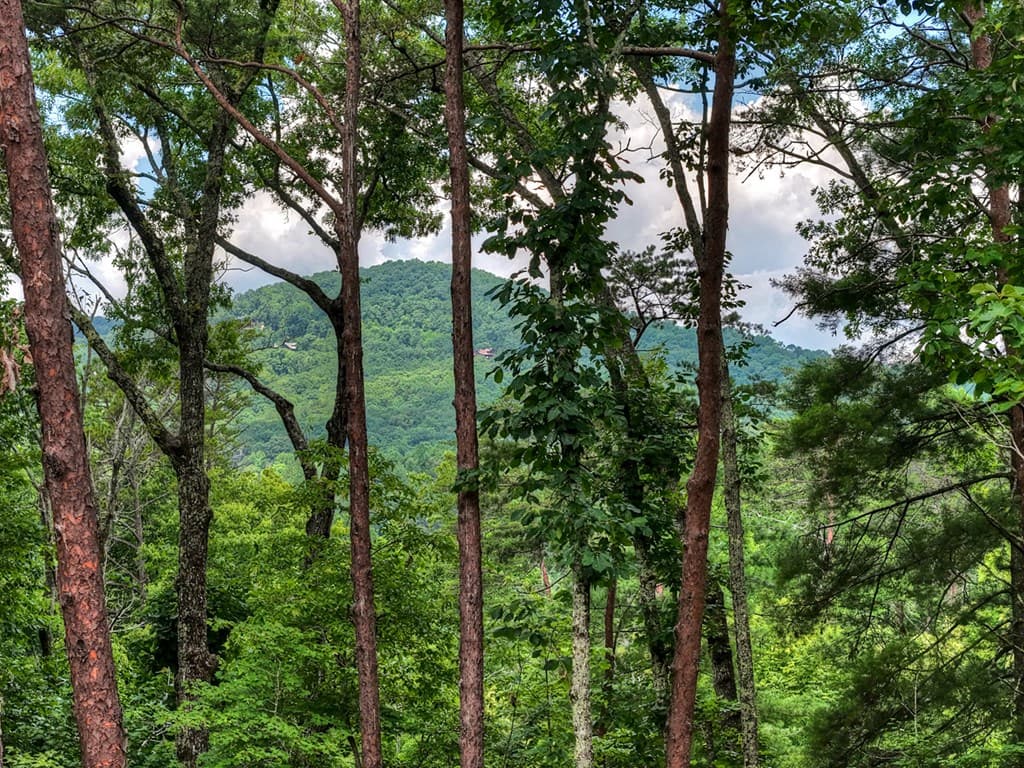 120 Green Ridge Road, Blue Ridge GA 30513 - Photo