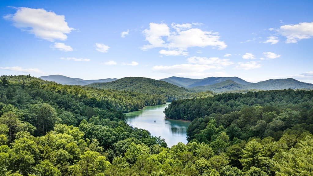 93 Misty Mountain Trail, Morganton GA 30560 - Photo