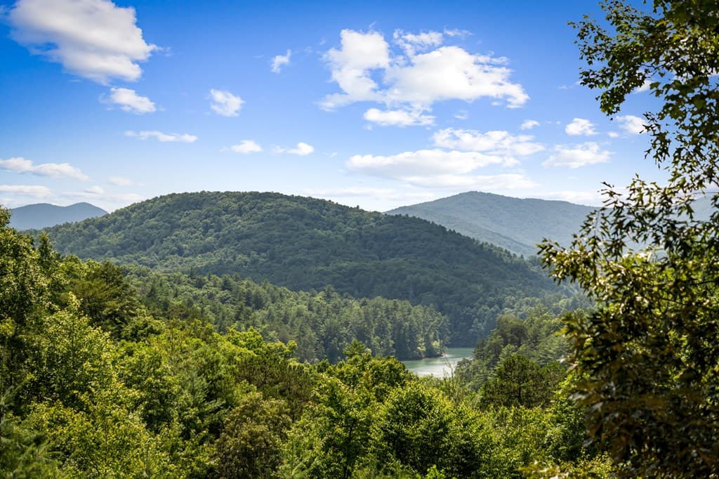 93 Misty Mountain Trail, Morganton GA 30560 - Photo