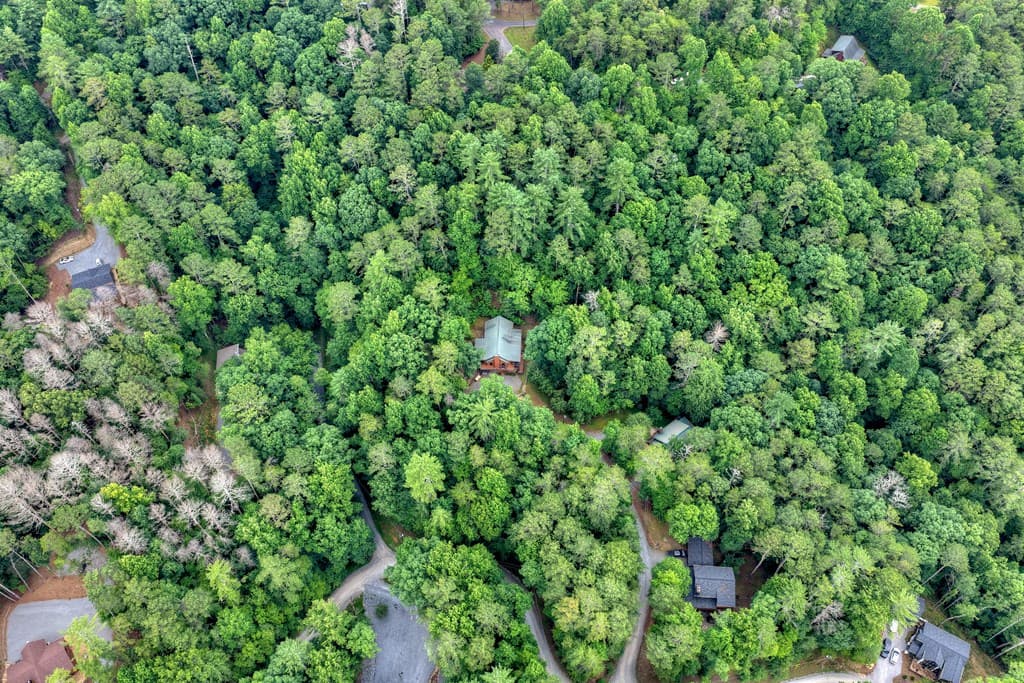 50 Kings Court, Ellijay GA 30540 - Photo