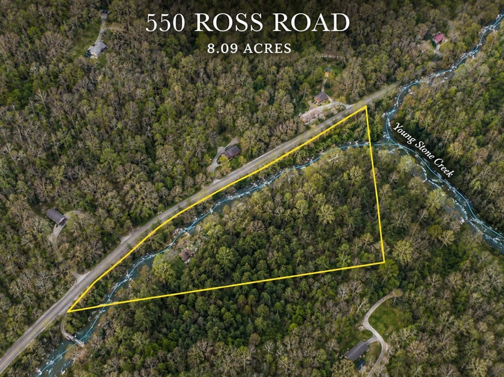 550 Ross Road, Mineral Bluff GA 30559 - Photo