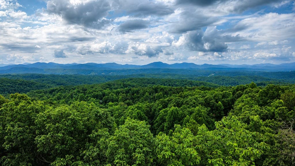 629 My Mountain Road, Morganton GA 30560 - Photo