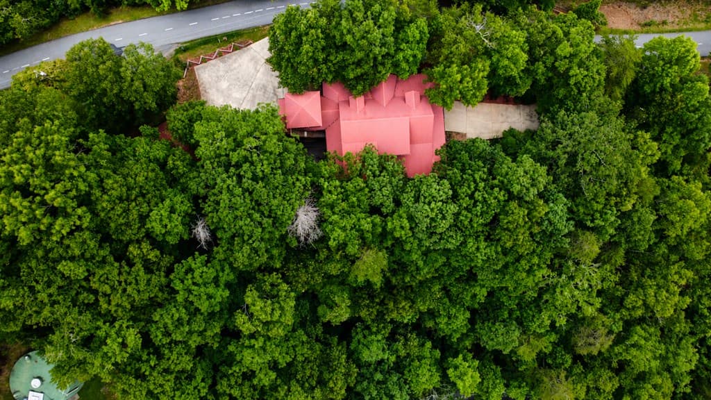 629 My Mountain Road, Morganton GA 30560 - Photo