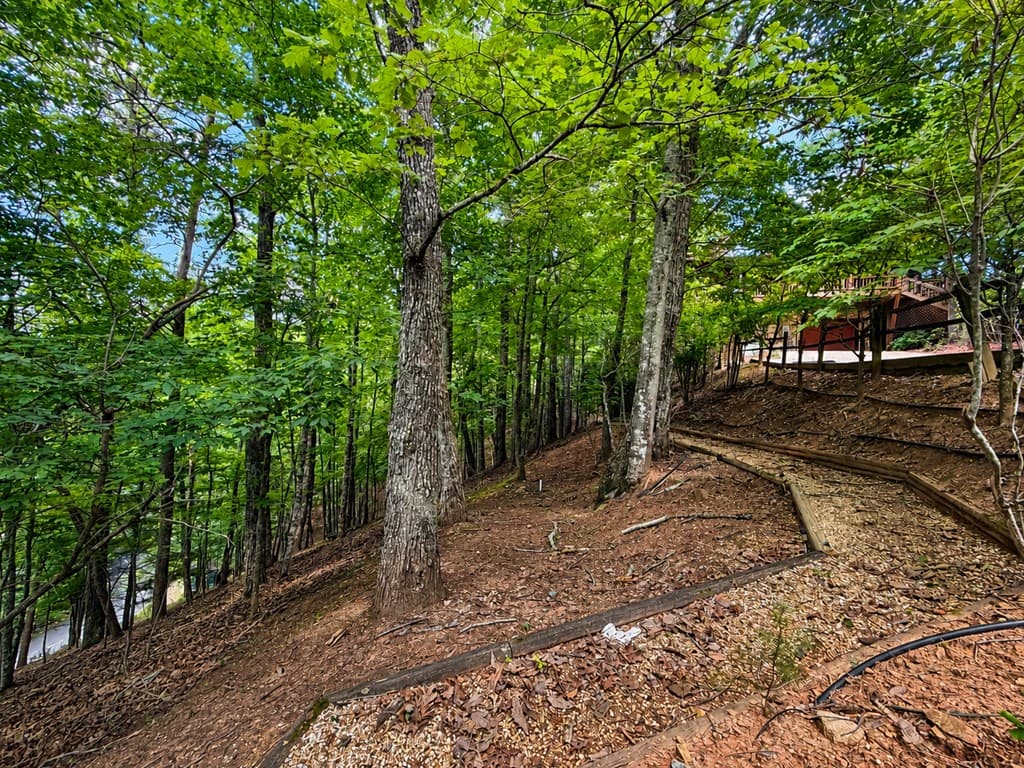 629 My Mountain Road, Morganton GA 30560 - Photo