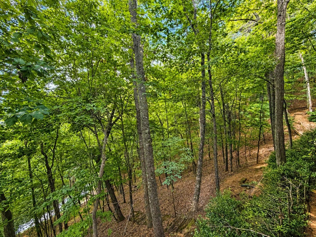 629 My Mountain Road, Morganton GA 30560 - Photo