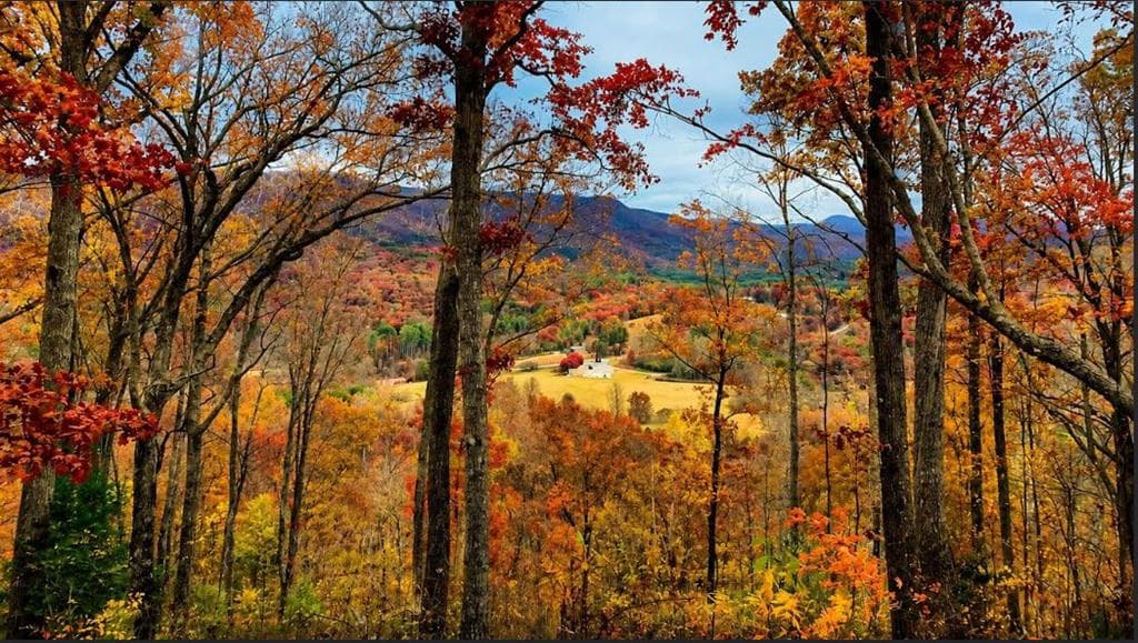20 Fly Cast Overlook, Hayesville NC 28904 - Primary photo