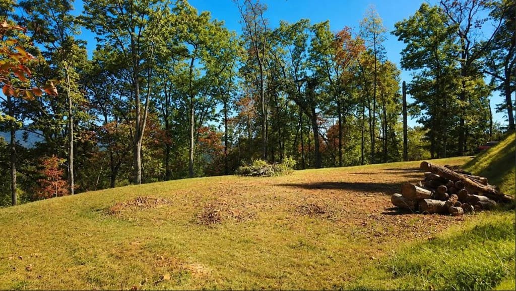 20 Fly Cast Overlook, Hayesville NC 28904 - Photo