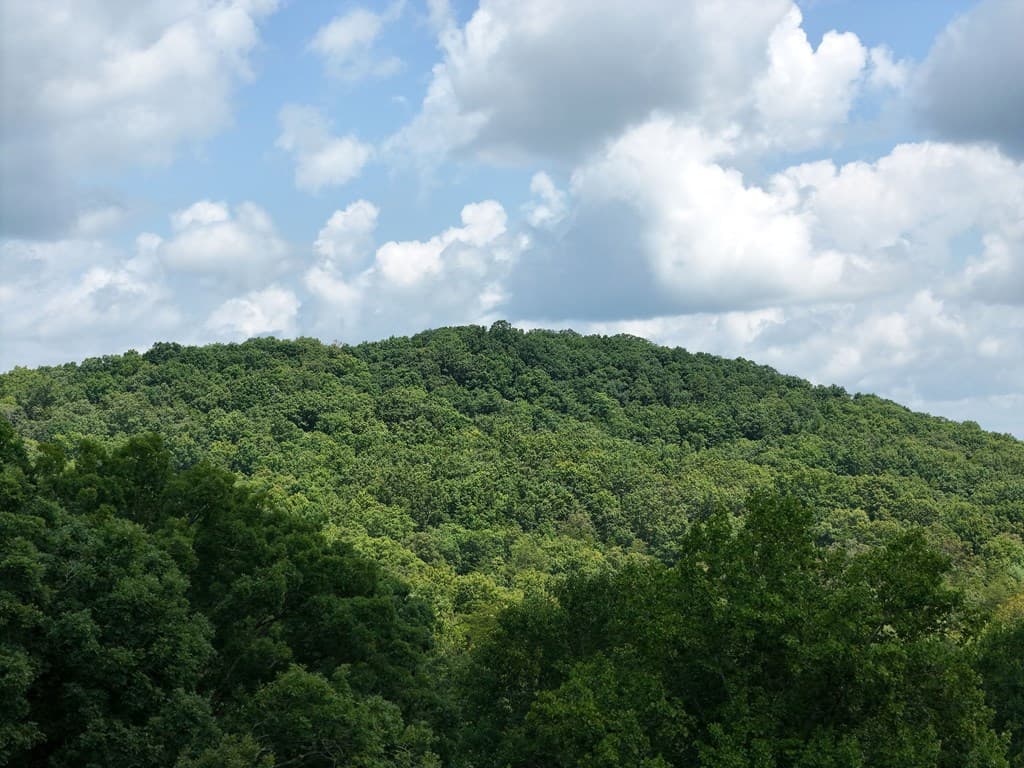 Lot 71 Chicory Drive W, Blairsville GA 30512 - Photo