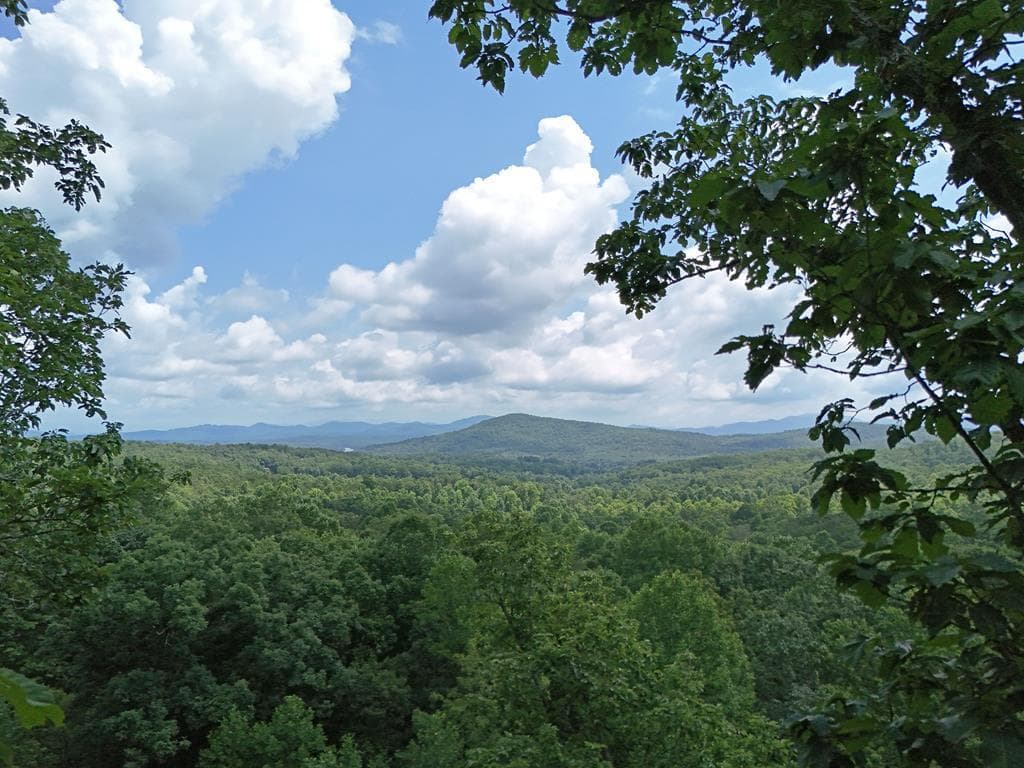 Lot 71 Chicory Drive W, Blairsville GA 30512 - Photo