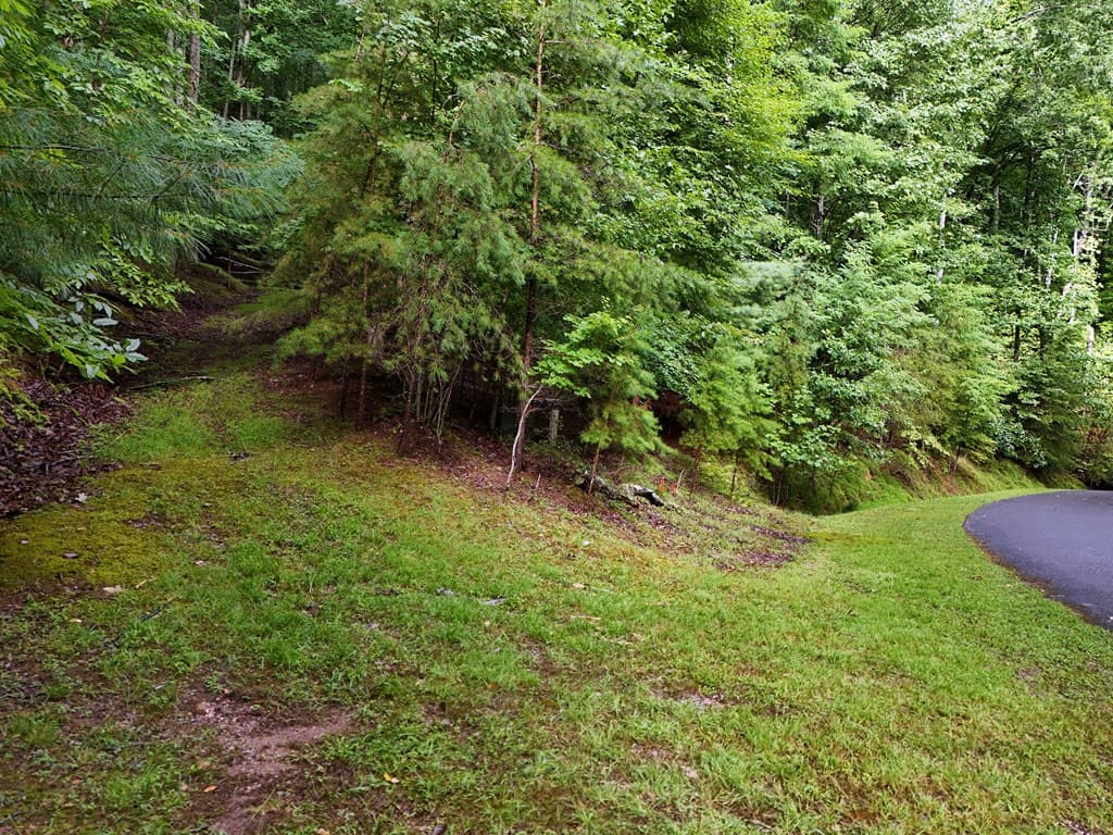 Lot 71 Chicory Drive W, Blairsville GA 30512 - Photo