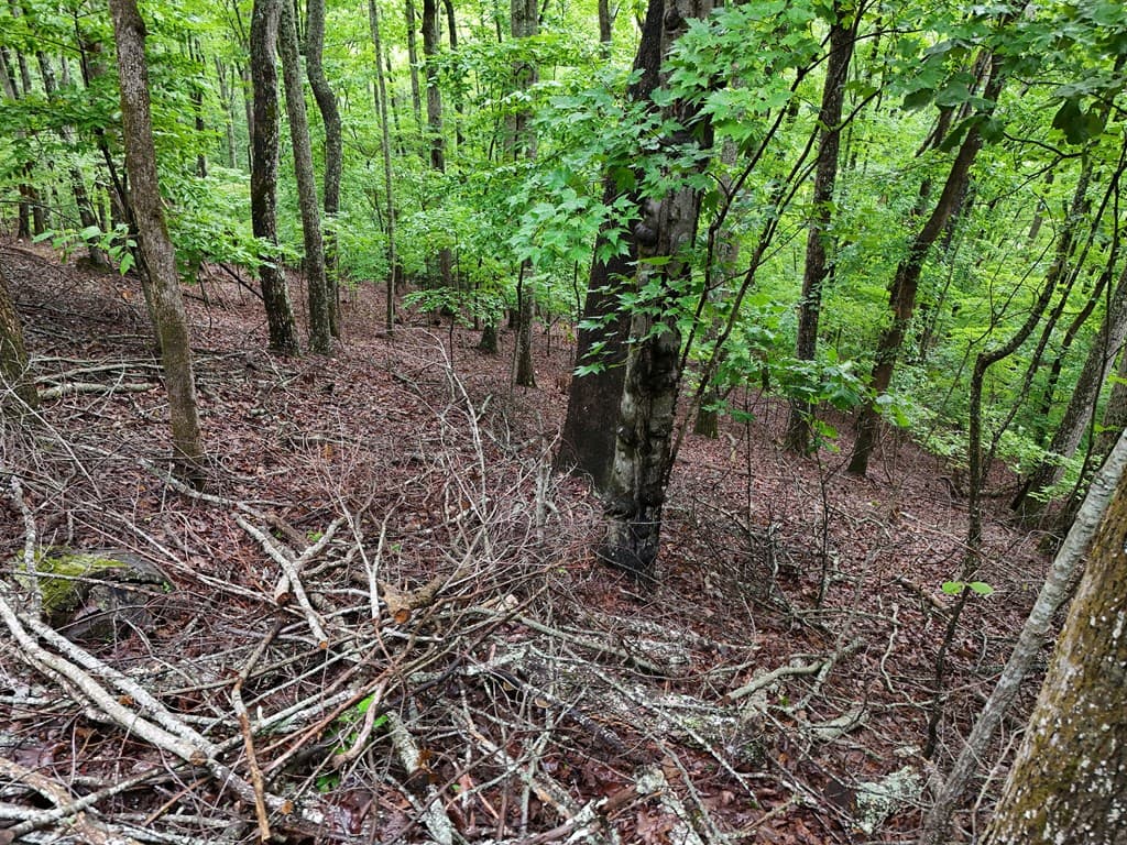 Lot 71 Chicory Drive W, Blairsville GA 30512 - Photo