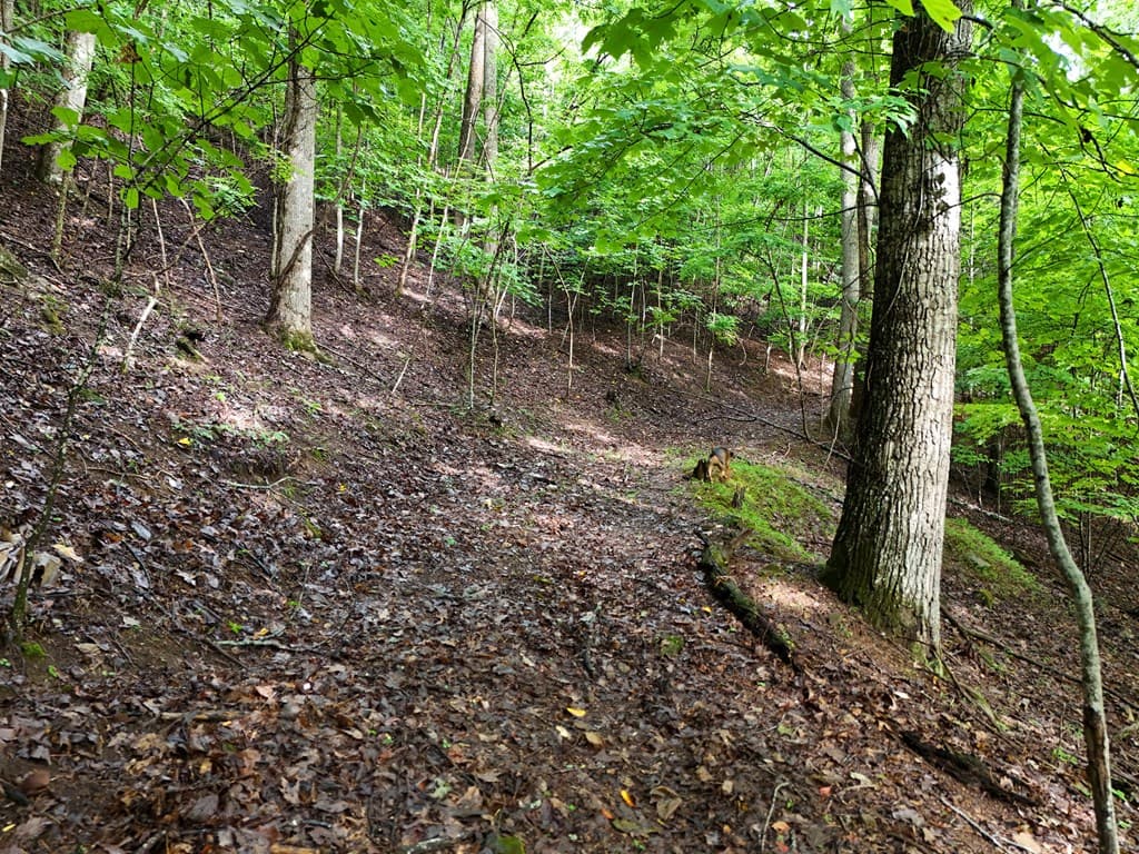 Lot 71 Chicory Drive W, Blairsville GA 30512 - Photo