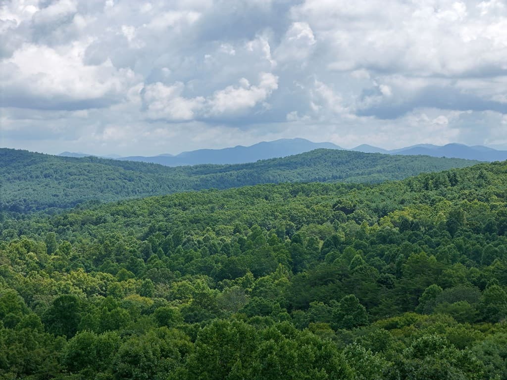 Lot 71 Chicory Drive W, Blairsville GA 30512 - Photo