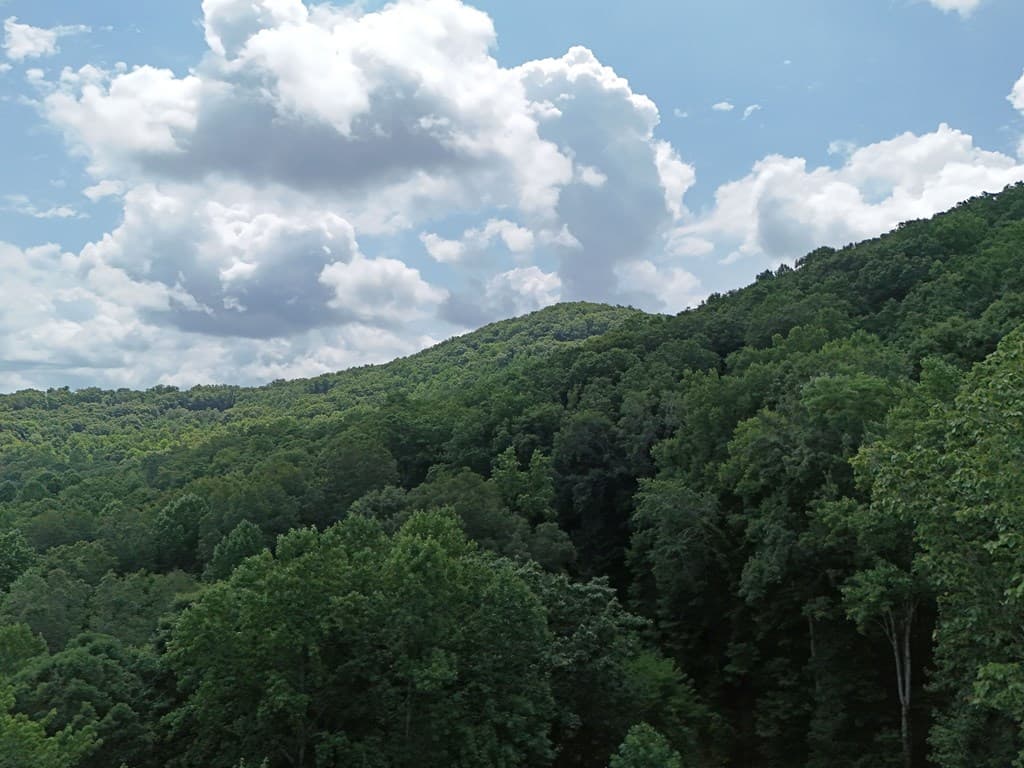 Lot 71 Chicory Drive W, Blairsville GA 30512 - Photo