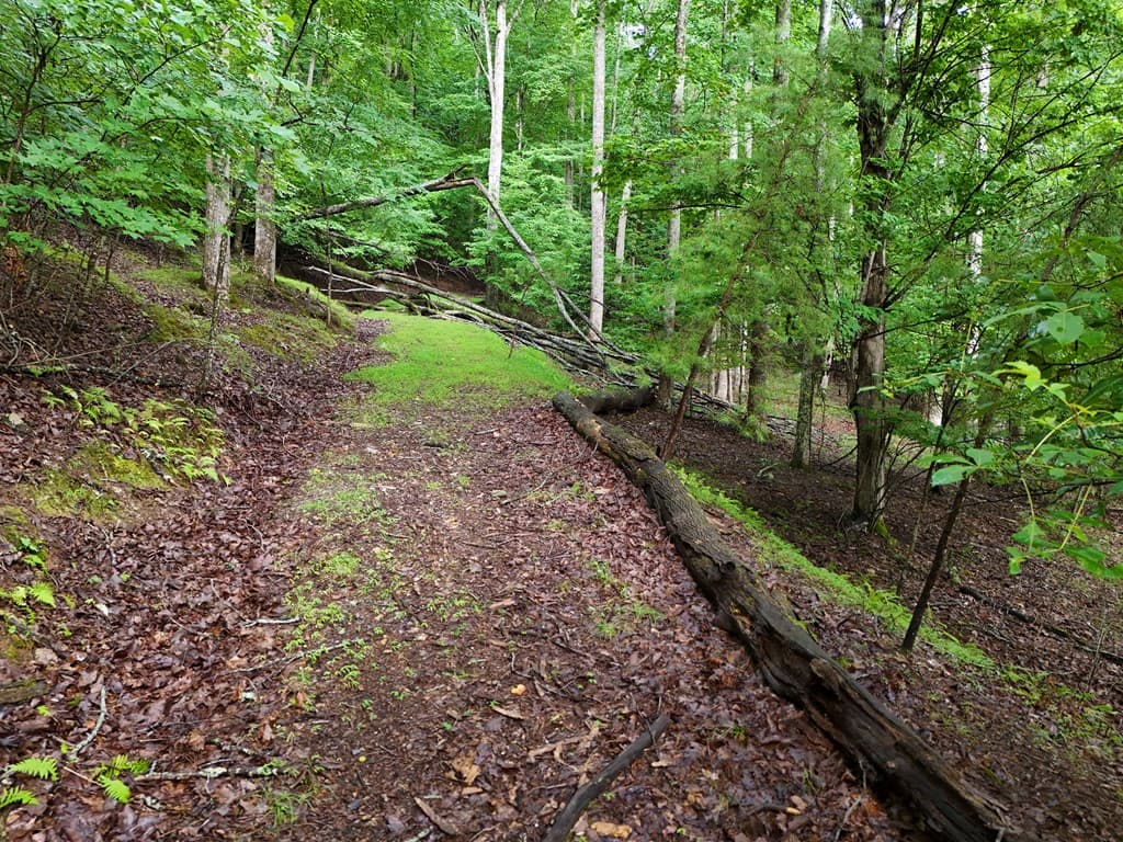 Lot 71 Chicory Drive W, Blairsville GA 30512 - Photo