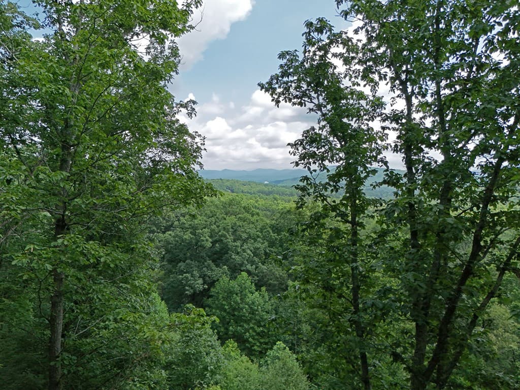 Lot 71 Chicory Drive W, Blairsville GA 30512 - Photo