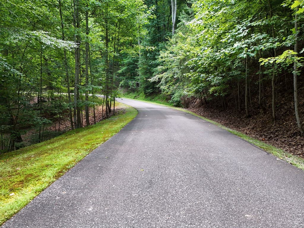 Lot 71 Chicory Drive W, Blairsville GA 30512 - Photo