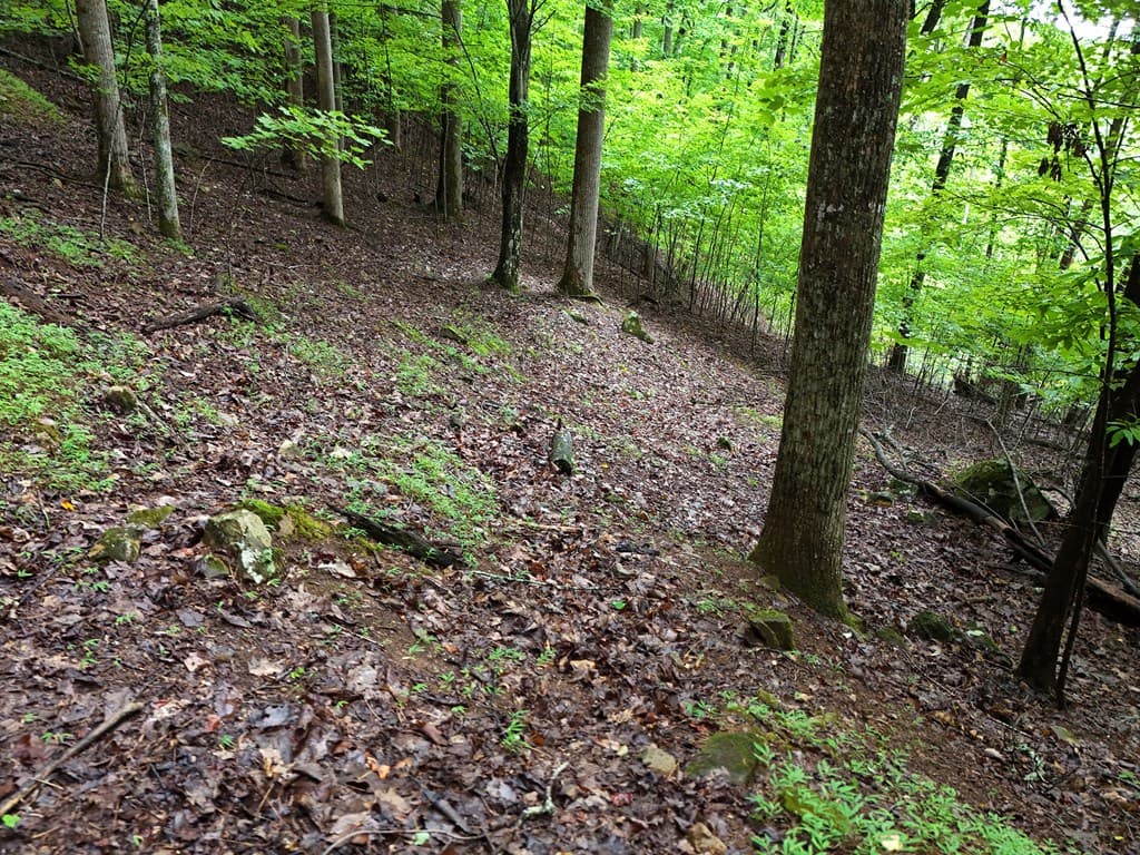 Lot 71 Chicory Drive W, Blairsville GA 30512 - Photo