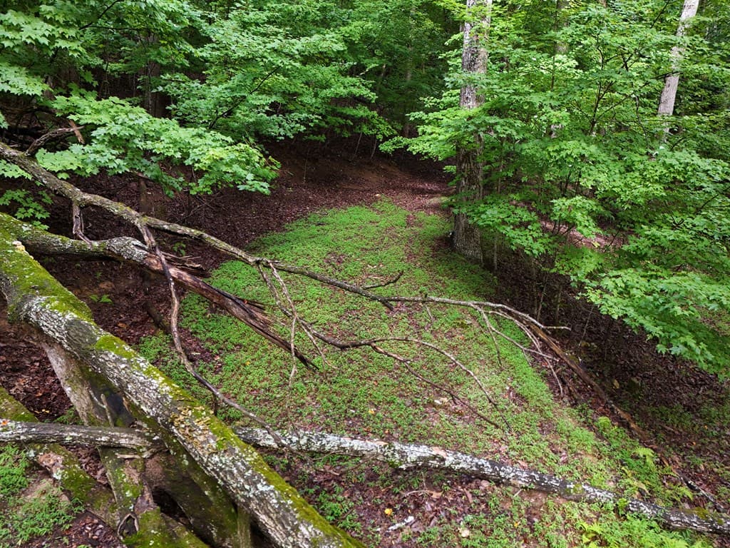 Lot 71 Chicory Drive W, Blairsville GA 30512 - Photo
