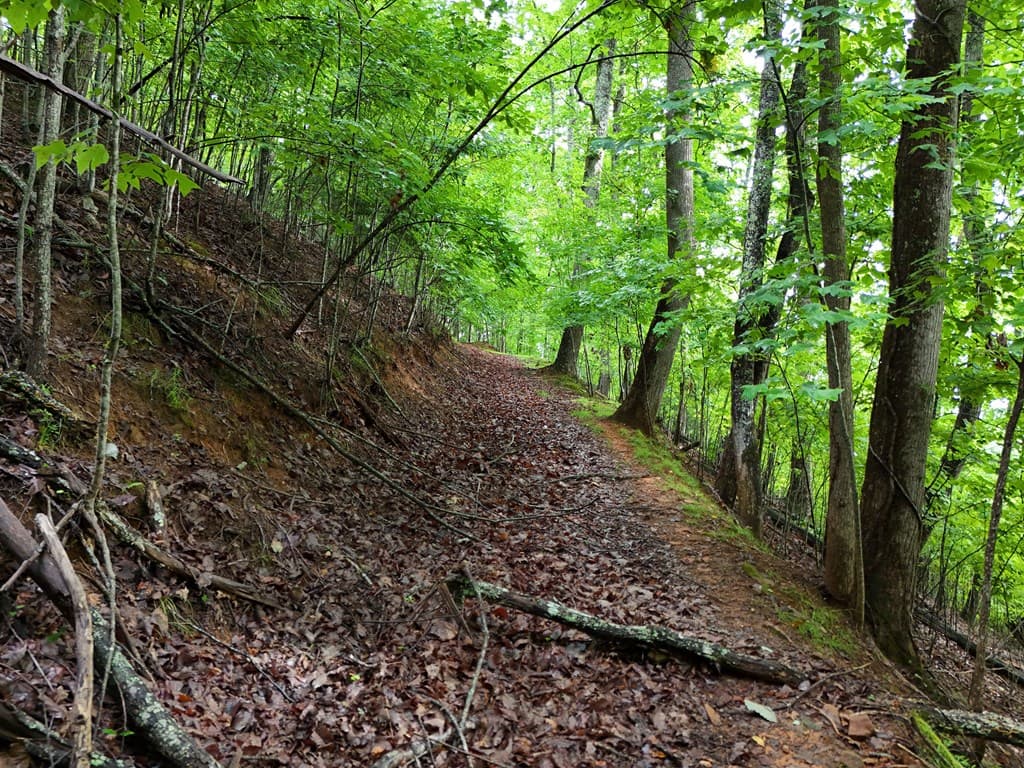 Lot 71 Chicory Drive W, Blairsville GA 30512 - Photo