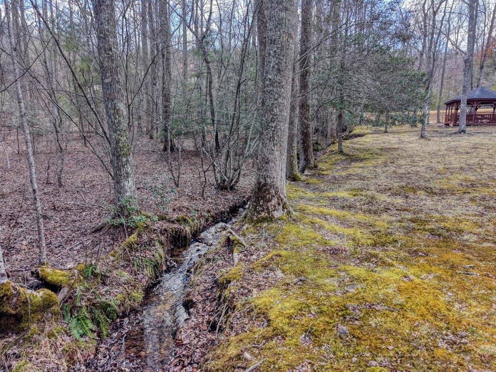 Lot 71 Chicory Drive W, Blairsville GA 30512 - Photo