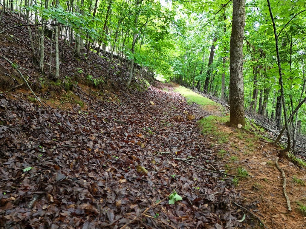 Lot 71 Chicory Drive W, Blairsville GA 30512 - Photo