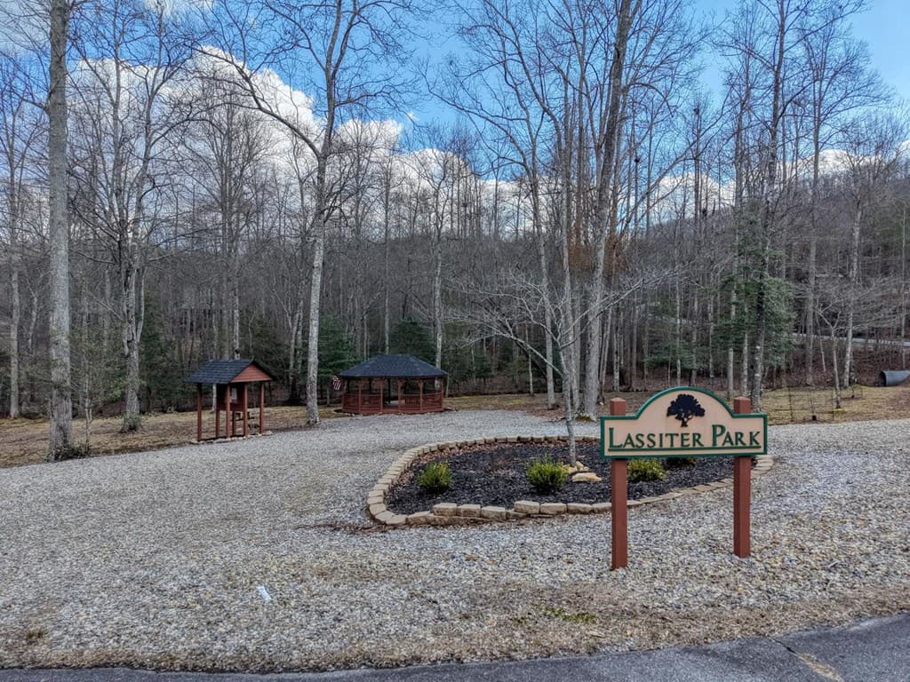 Lot 71 Chicory Drive W, Blairsville GA 30512 - Photo