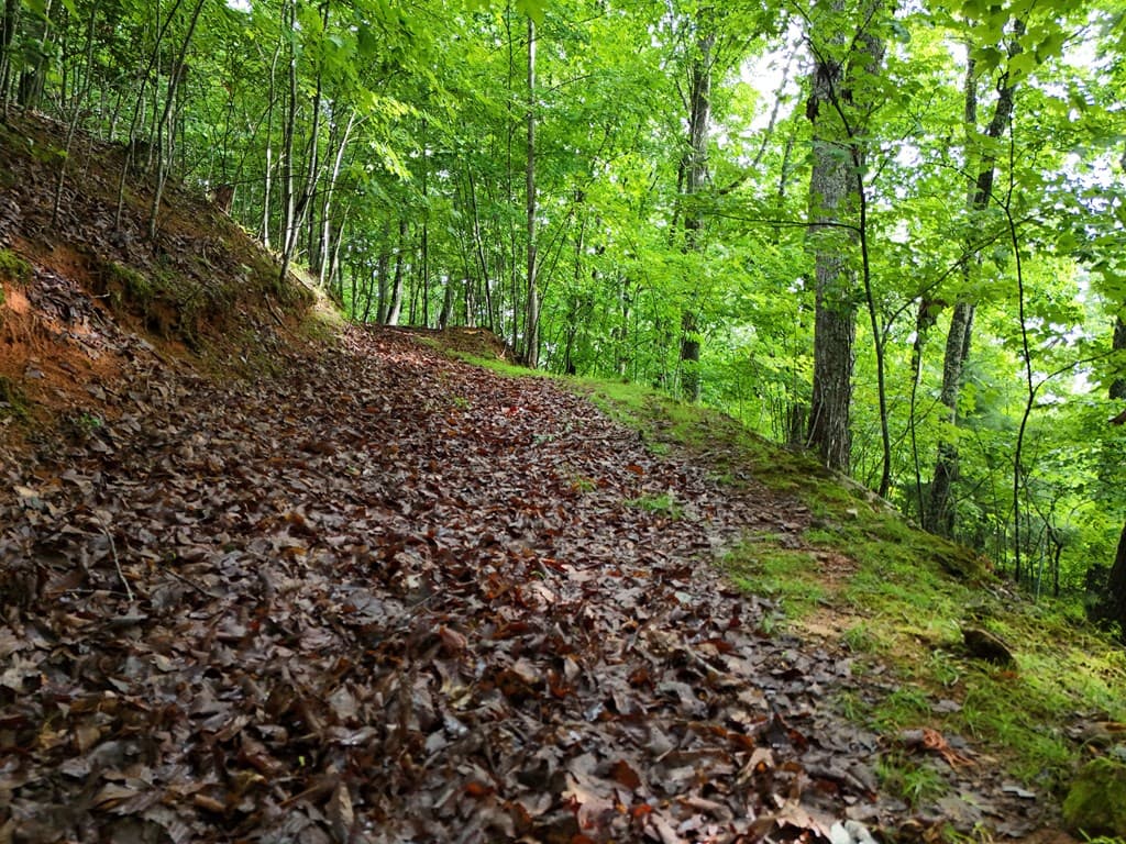 Lot 71 Chicory Drive W, Blairsville GA 30512 - Photo