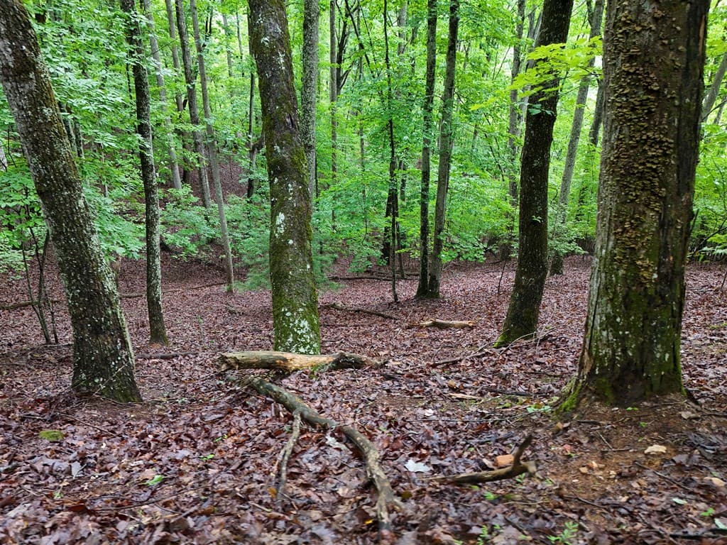 Lot 71 Chicory Drive W, Blairsville GA 30512 - Photo