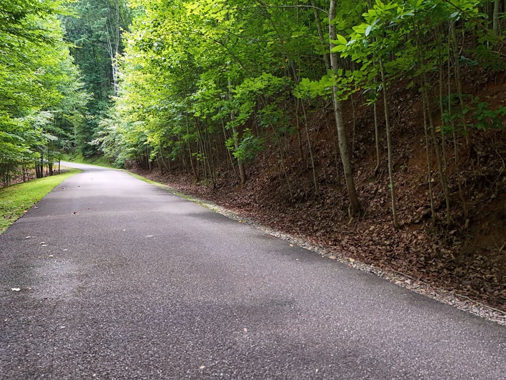 Lot 71 Chicory Drive W, Blairsville GA 30512 - Photo