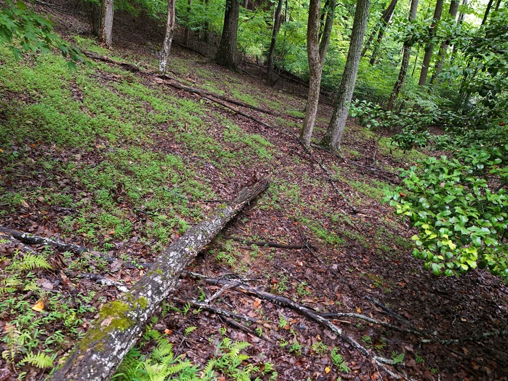 Lot 71 Chicory Drive W, Blairsville GA 30512 - Photo