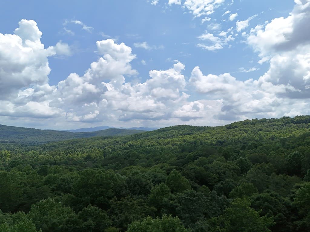 Lot 71 Chicory Drive W, Blairsville GA 30512 - Photo