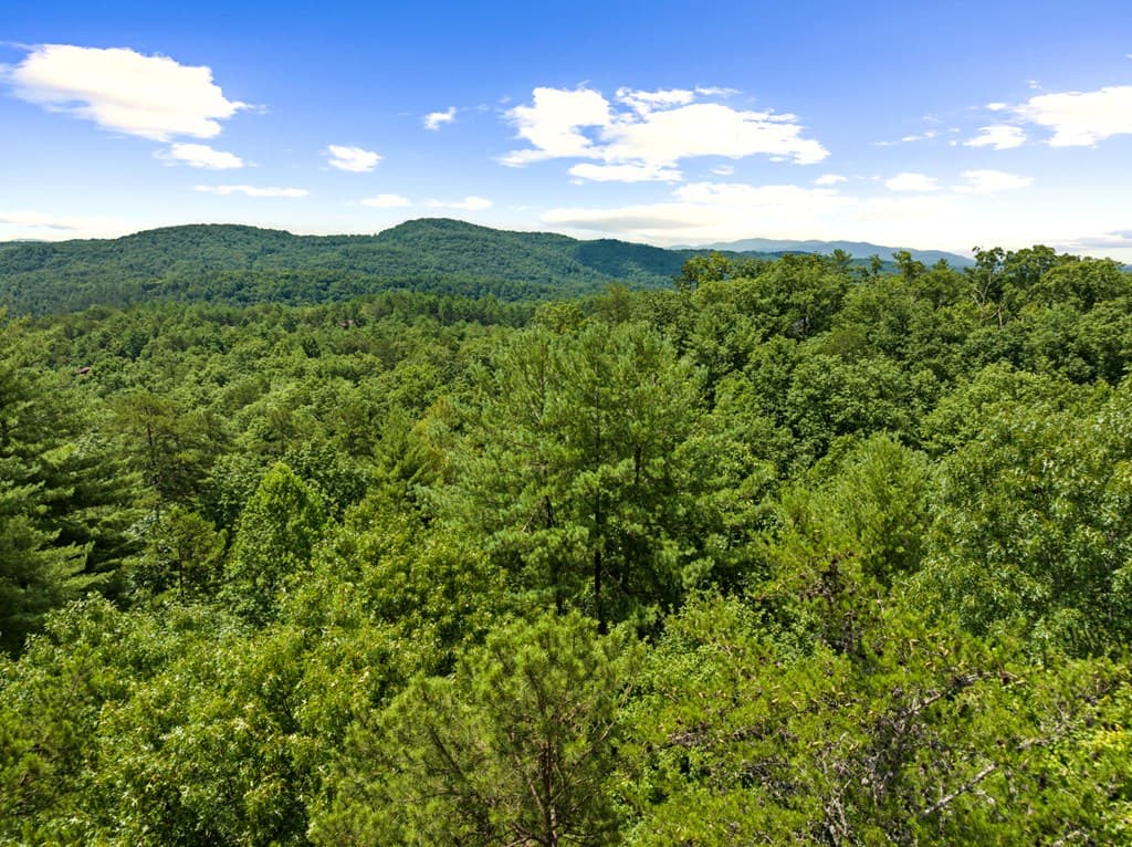 9 Kensington Drive, Mineral Bluff GA 30559 - Photo