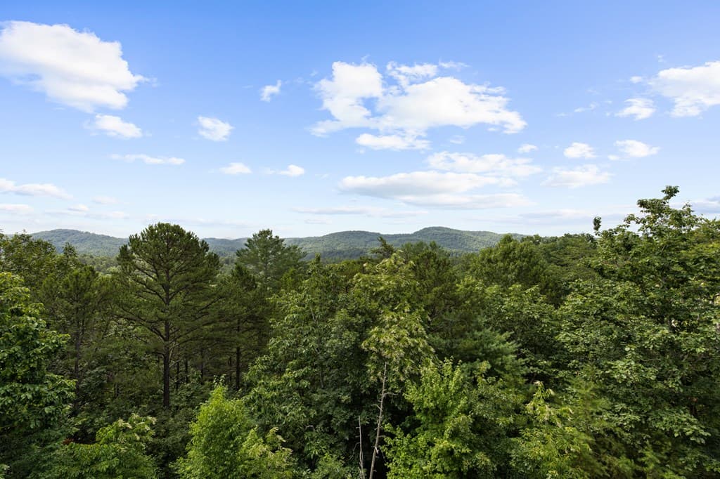 9 Kensington Drive, Mineral Bluff GA 30559 - Photo