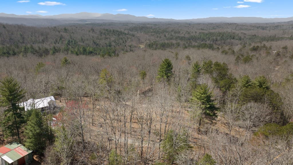 1262 Maple Grove Road, Morganton GA 30560 - Photo