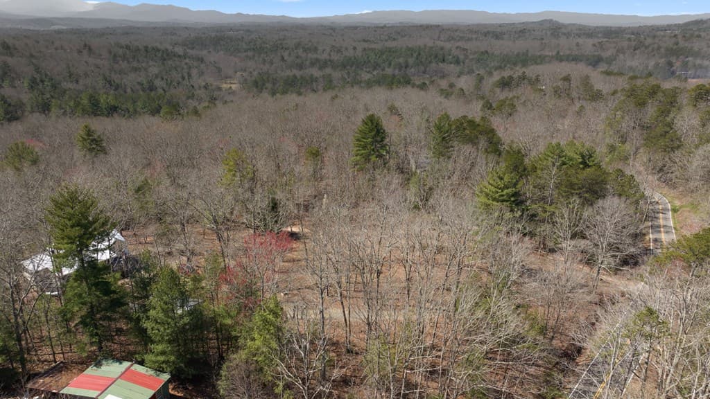 1262 Maple Grove Road, Morganton GA 30560 - Photo