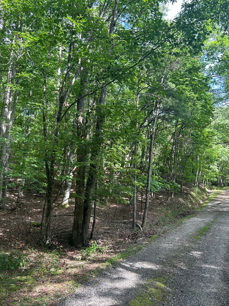 0 East Two Pond Lane, Hayesville NC 28904 - Photo
