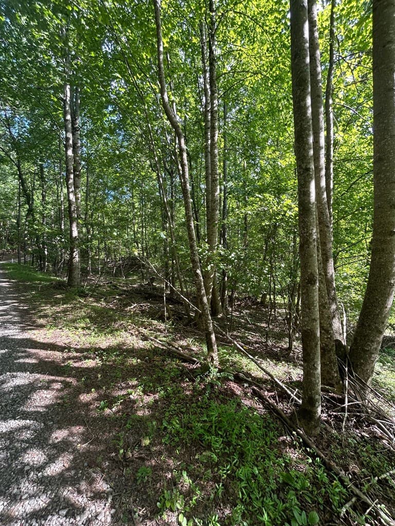 0 East Two Pond Lane, Hayesville NC 28904 - Photo