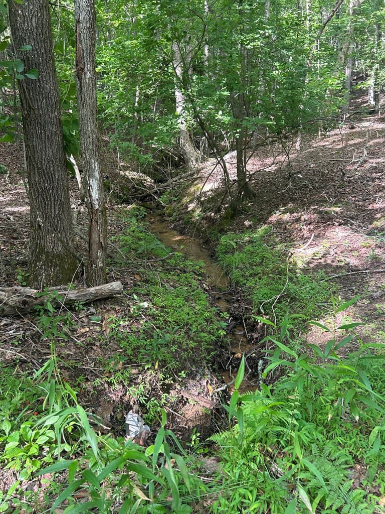 0 East Two Pond Lane, Hayesville NC 28904 - Photo