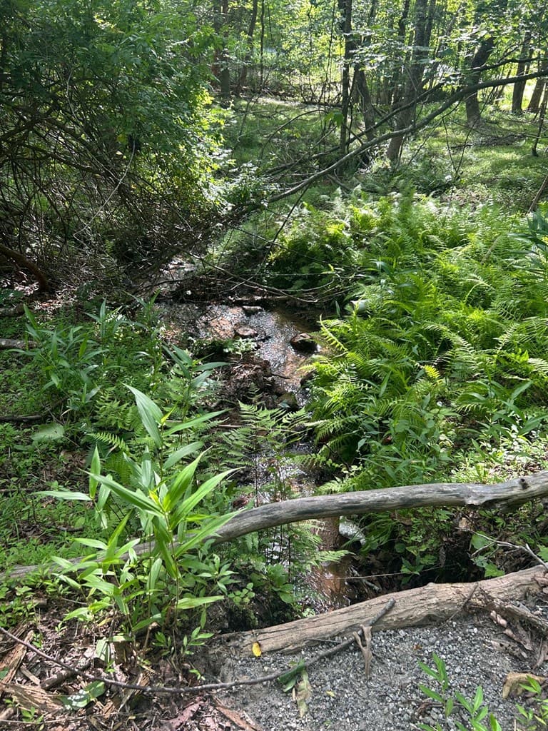 0 East Two Pond Lane, Hayesville NC 28904 - Photo