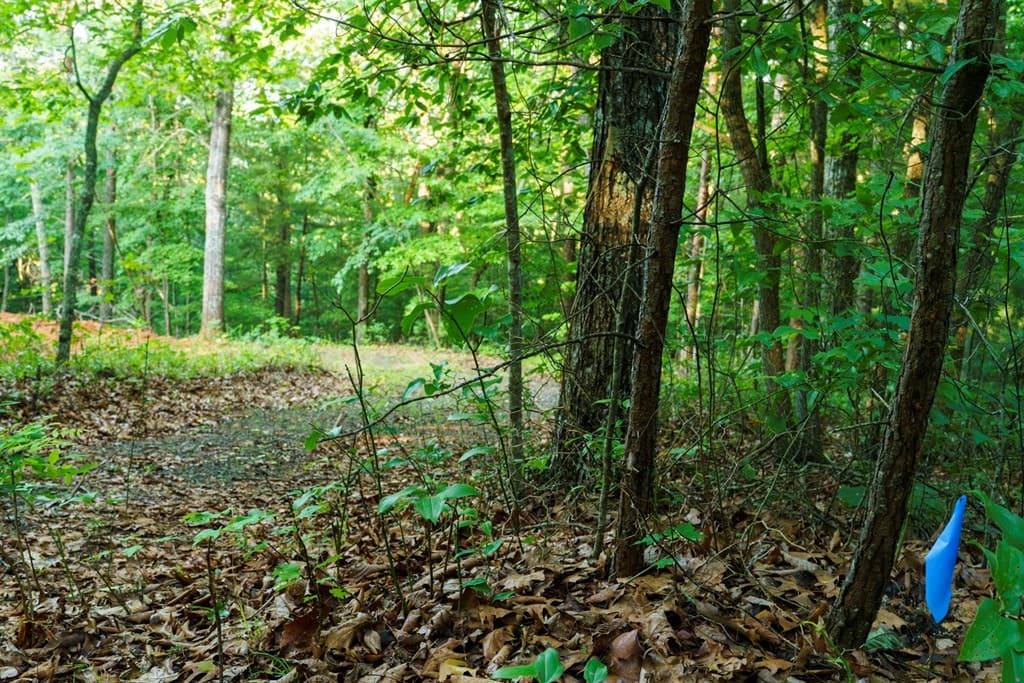 0 Gloryland Way, Murphy NC 28906 - Photo