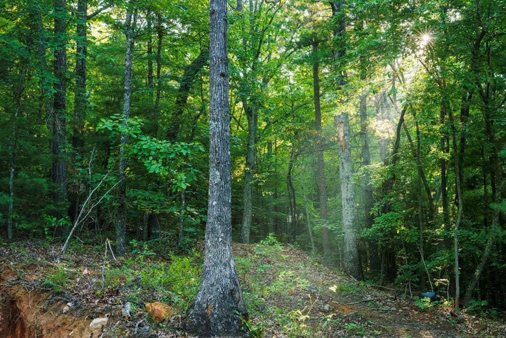 0 Gloryland Way, Murphy NC 28906 - Photo