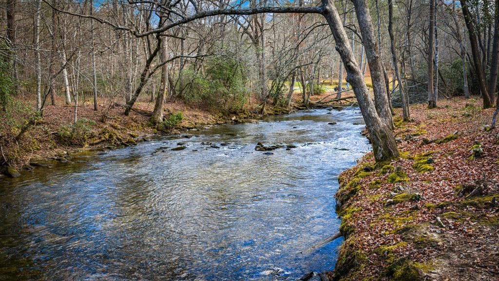 5.15 AC Spence Road, Blue Ridge GA 30513 - Photo